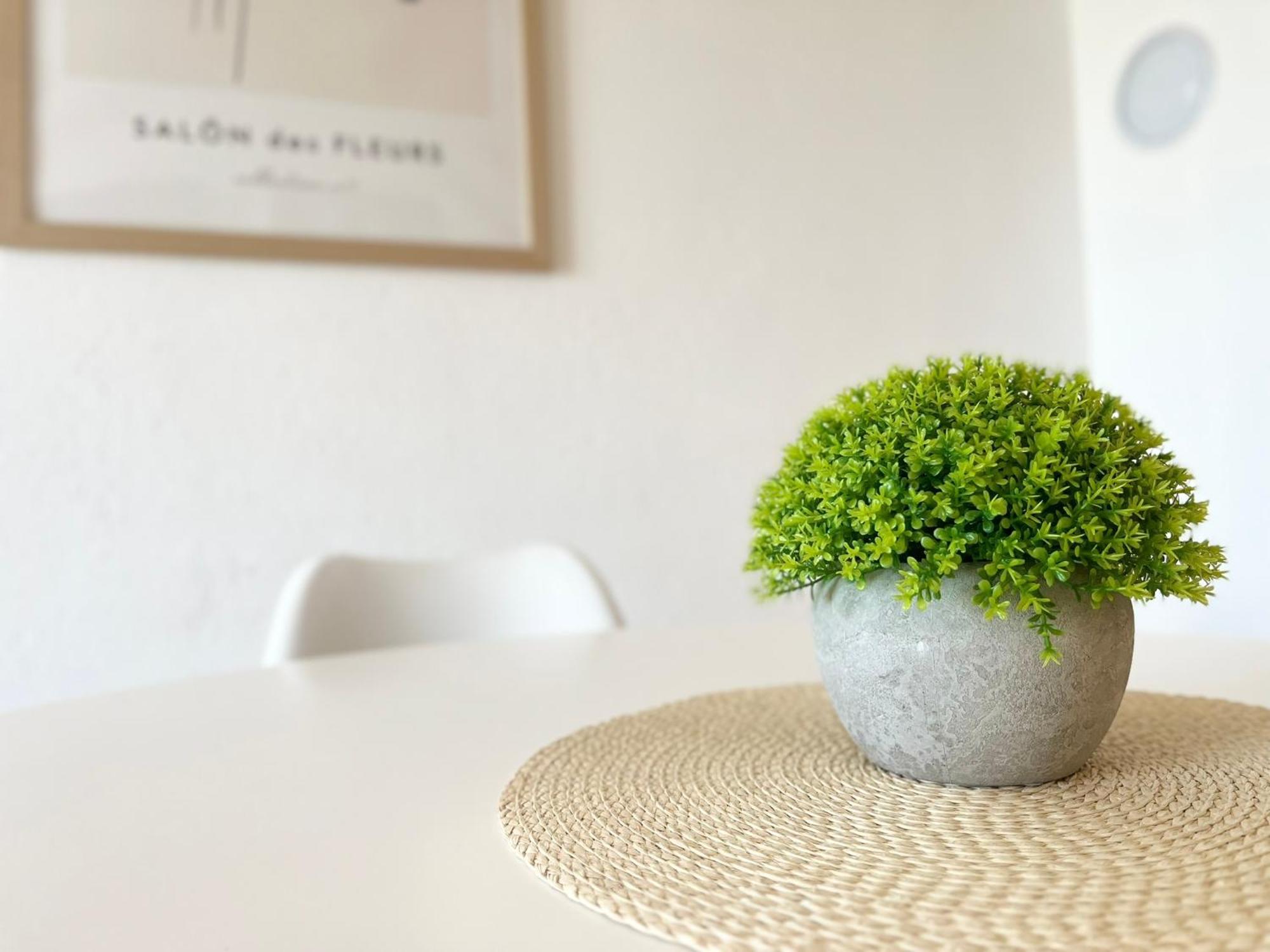 Apartments Contessa Novigrad Istria Kültér fotó