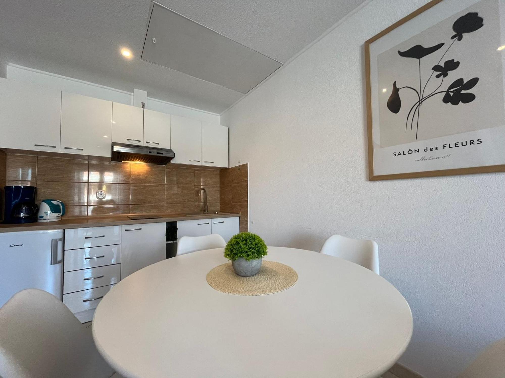 Apartments Contessa Novigrad Istria Kültér fotó