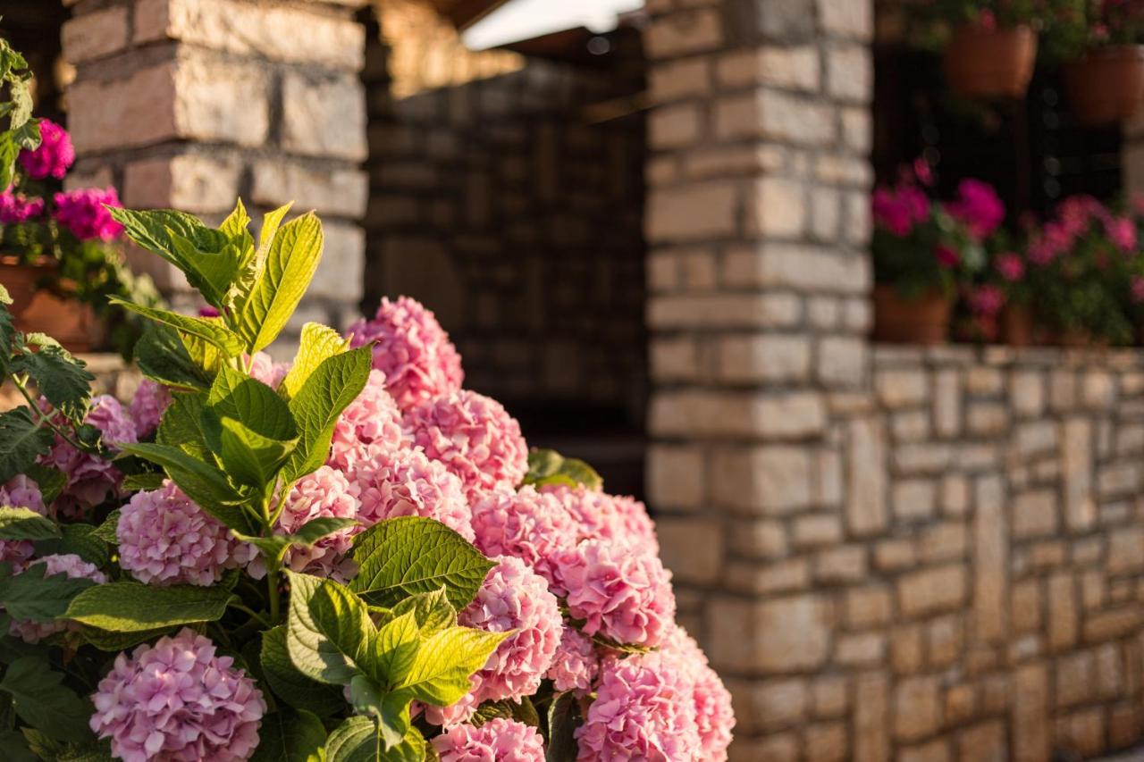 Apartments Contessa Novigrad Istria Kültér fotó